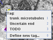 Tag menu to select among multiple tags for the same key